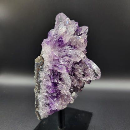 Frozen-Amethyst – Amethyst mit Bergkristall-Überzug auf Ständer