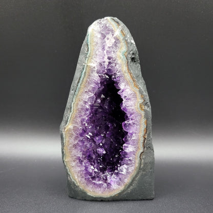 Amethystdruse in bester Uruguay-Qualität – Tiefes Violett & beeindruckende Kristalltiefe