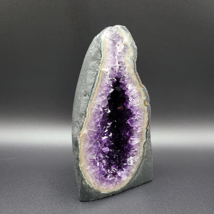 Amethystdruse in bester Uruguay-Qualität – Tiefes Violett & beeindruckende Kristalltiefe