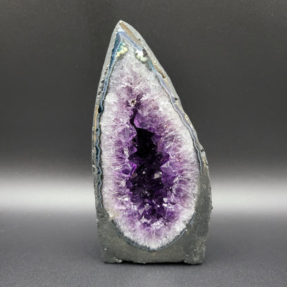 Amethystdruse in bester Uruguay-Qualität – Tiefes Violett & beeindruckende Kristalltiefe